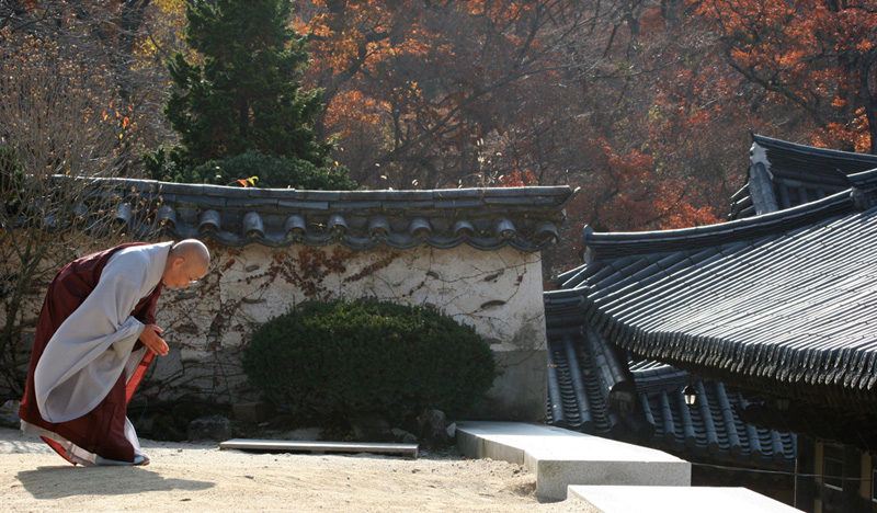 korea zen monastery temple haeinsa nun